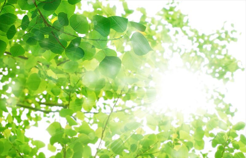 AdobeStock_111550214